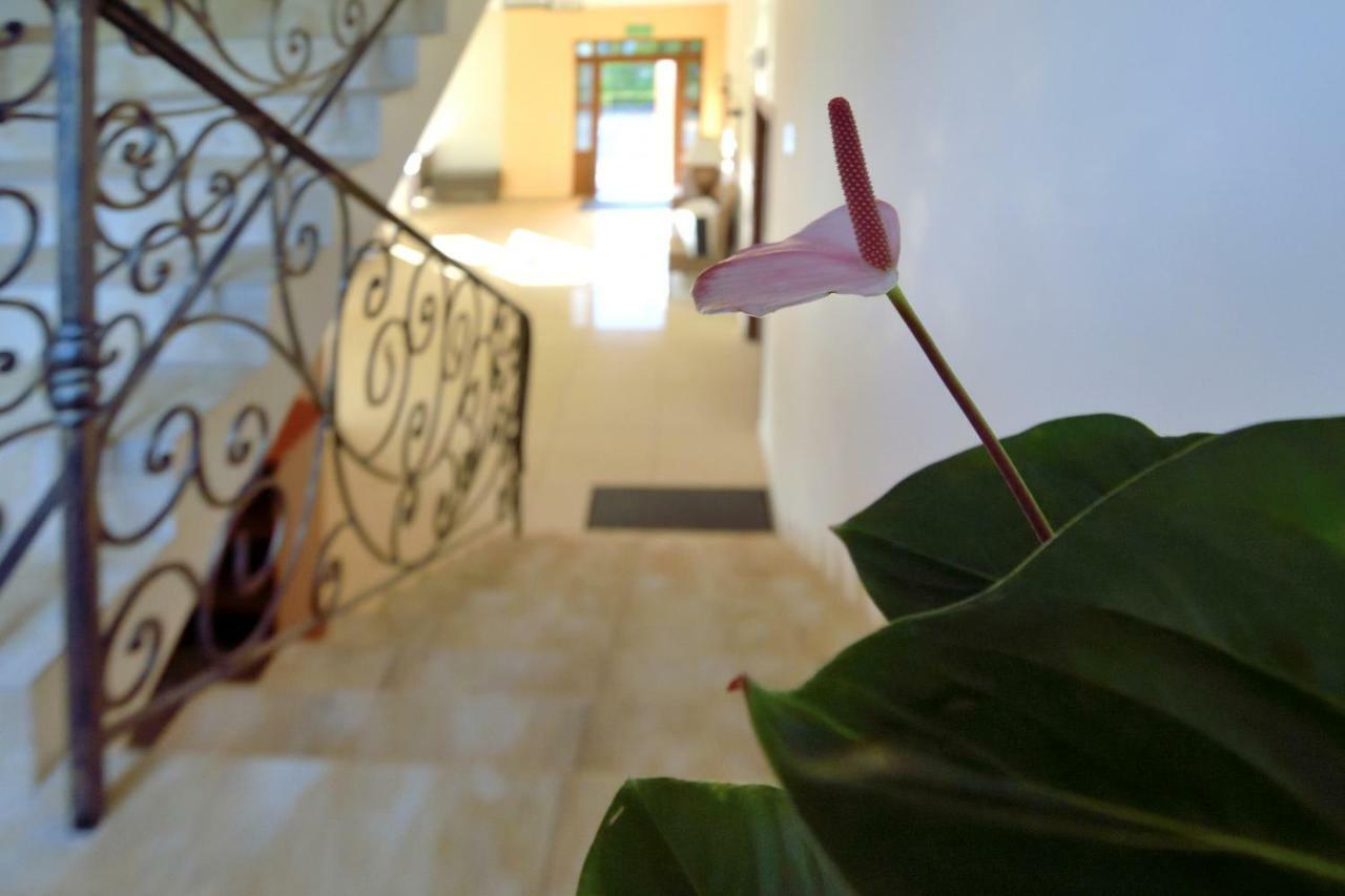 Villa Szelega 波别罗沃 外观 照片